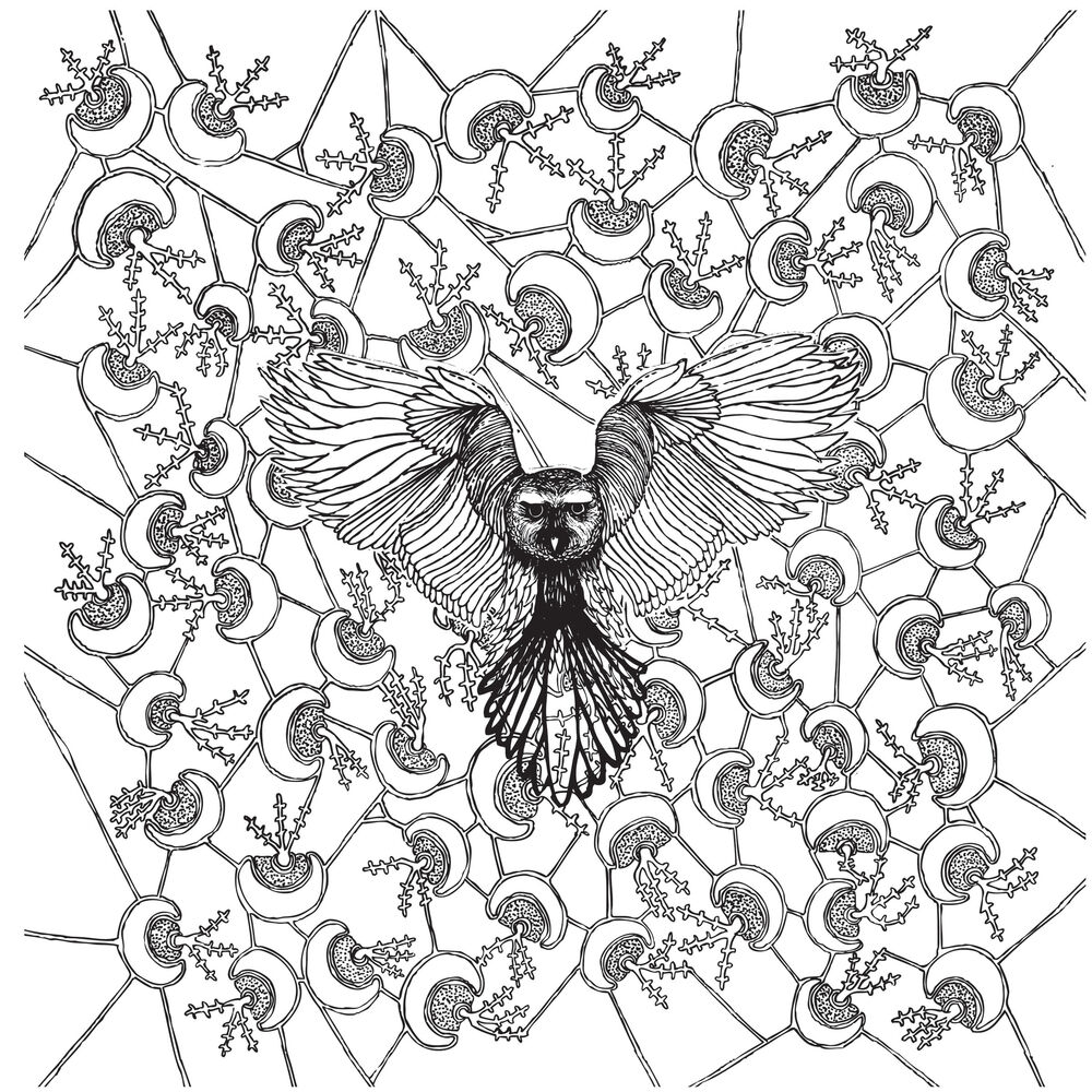 Picture of Bantam Lyons - EP