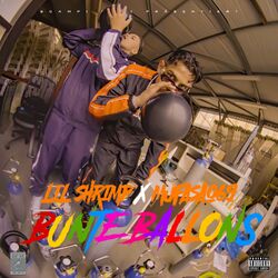 Cover of Bunte Ballons