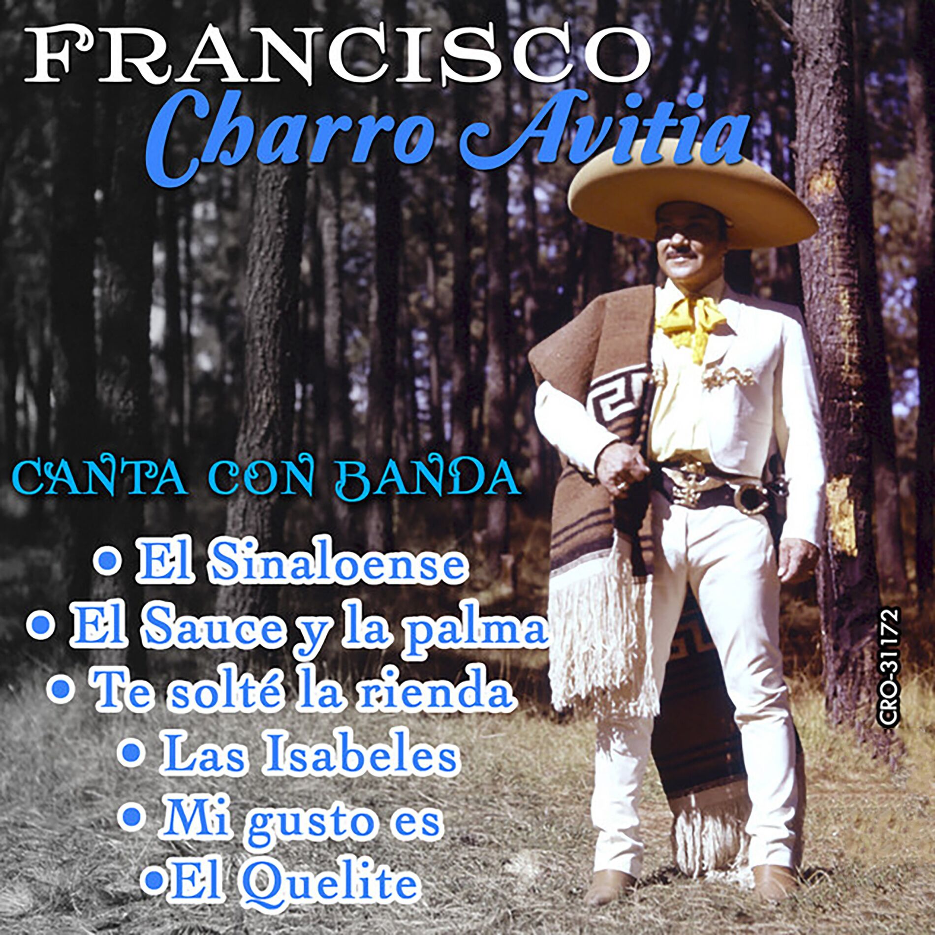 Album cover of Canta Con Banda