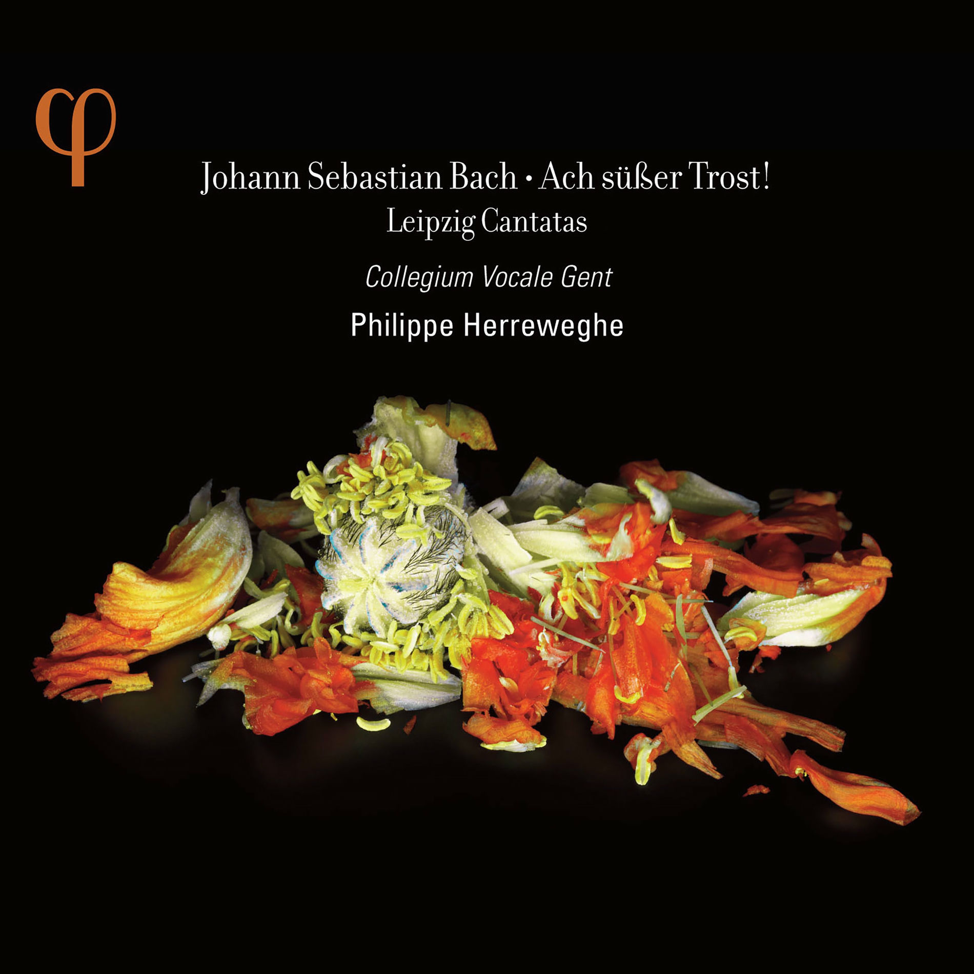 Album cover of Bach: Ach süßer Trost!