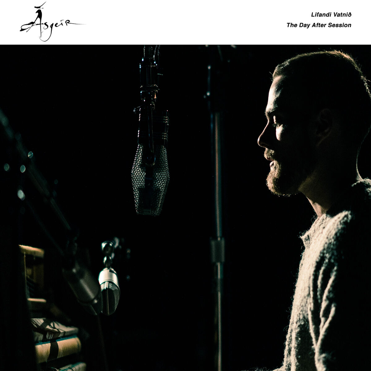 Album cover of Lifandi Vatnið (The Day After Session)