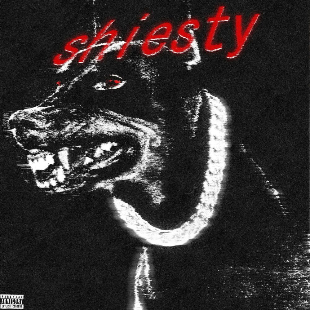 Picture of shiesty