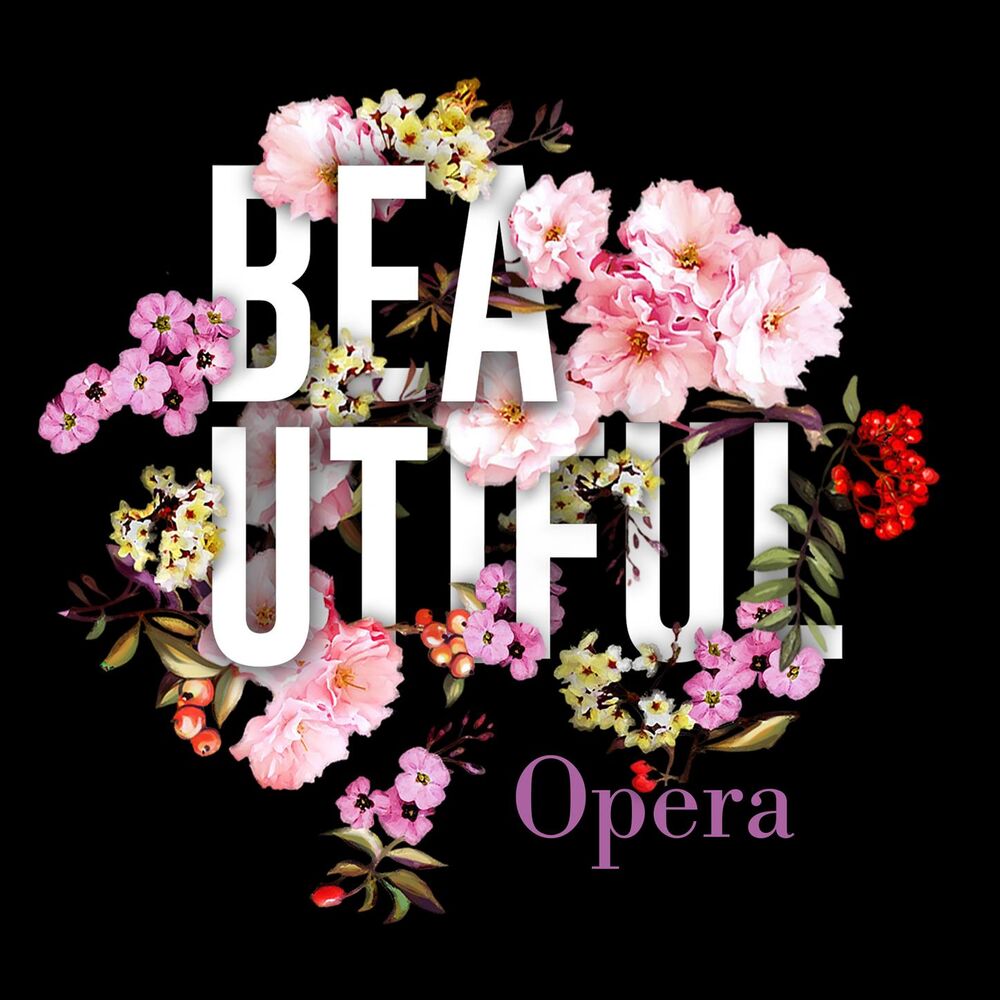 Picture of Beautiful Opera