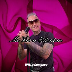 Cover of Me Vas a Extrañar