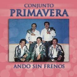Cover of Ando Sin Frenos