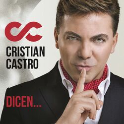 Cover of Dicen
