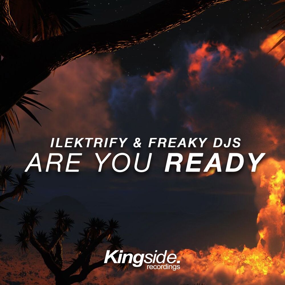 Picture of Are You Ready