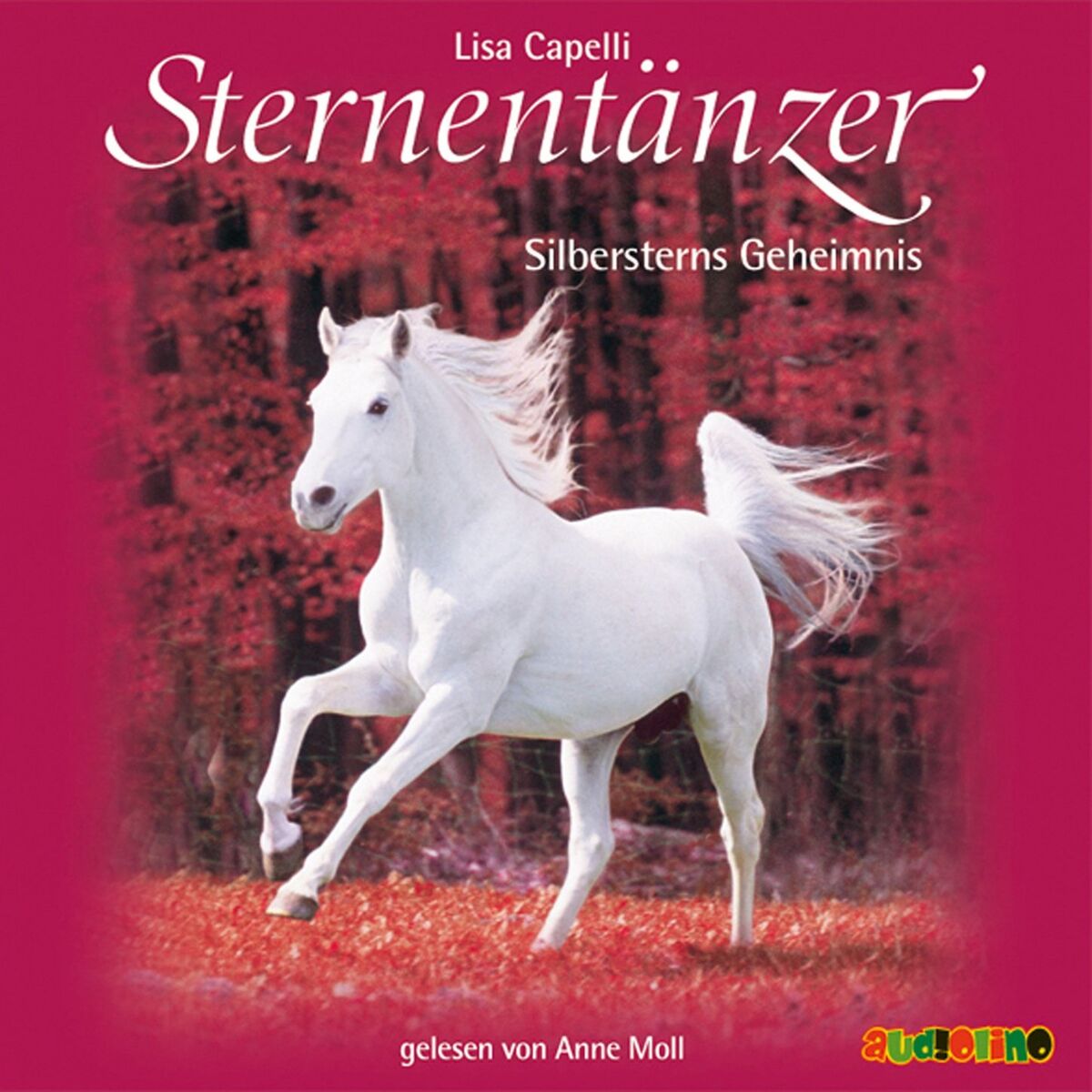 Album cover of Sternentänzer, Folge 11: Silbersterns Geheimnis (Ungekürzt)