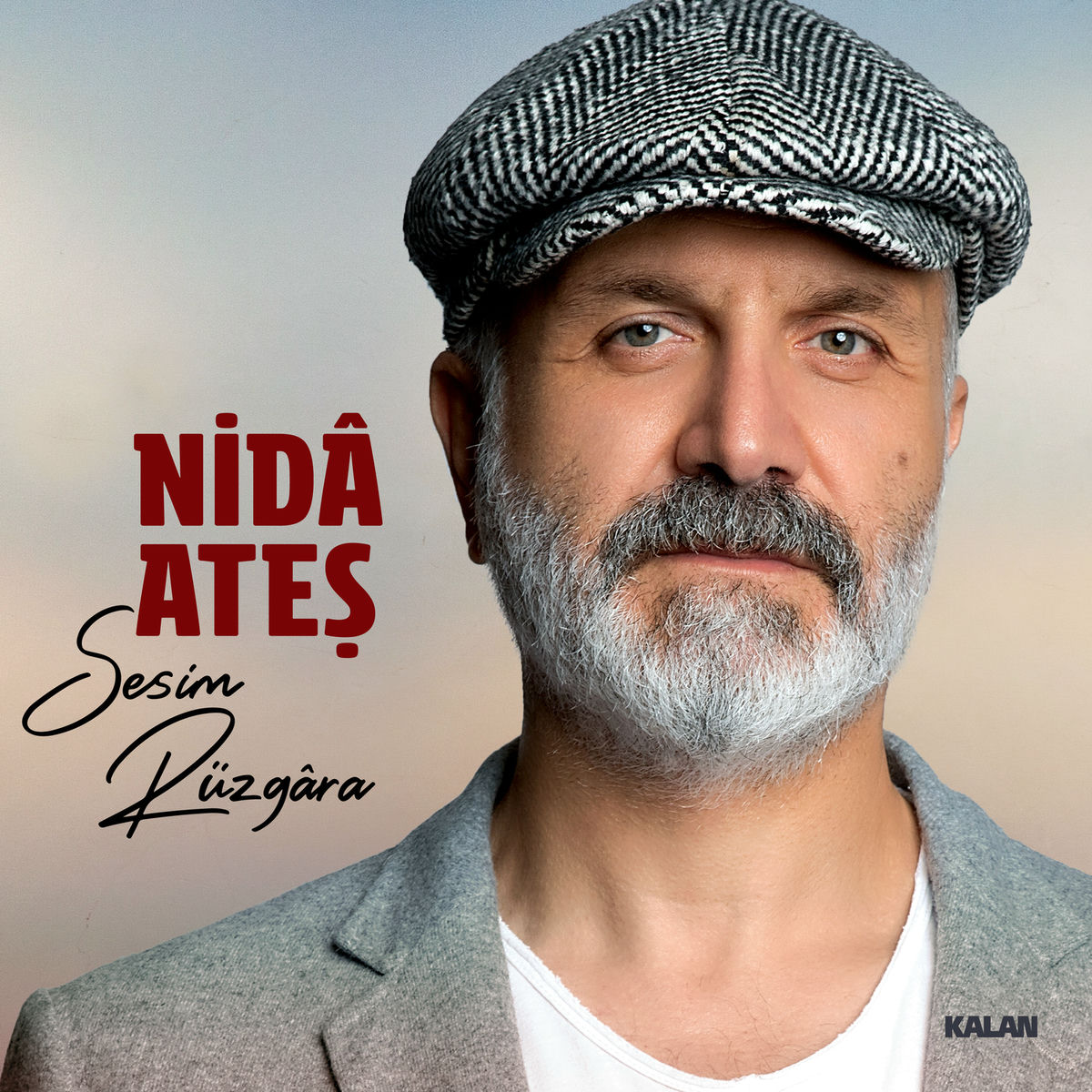 Album cover of Sesim Rüzgara
