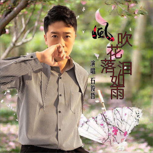 风吹花落泪如雨 (DJ何鹏版)
