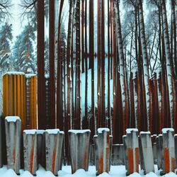 Cover of pillars