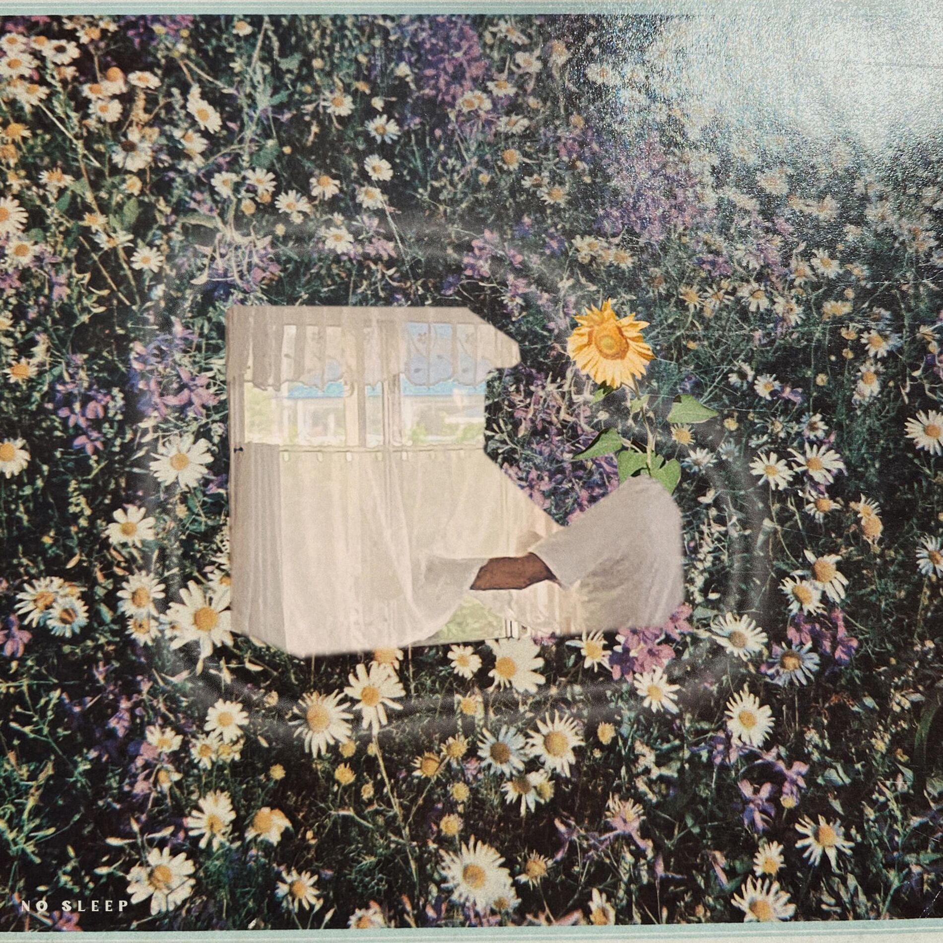Album cover of No Sleep
