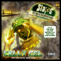 Cover of Slaps, Straps, and Baseball Hats
