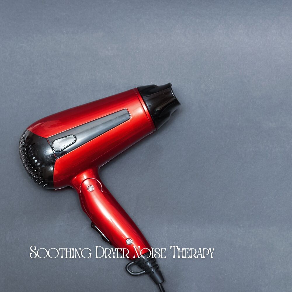 Picture of Soothing Dryer Noise Therapy