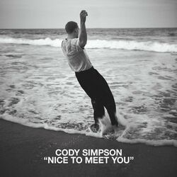 Cover of Nice to Meet You
