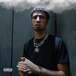 Cover of Composure