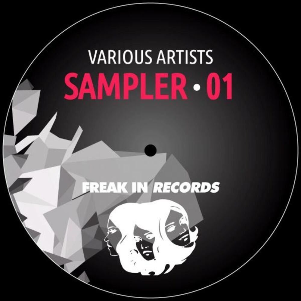 Picture of Various Artist Sampler 1