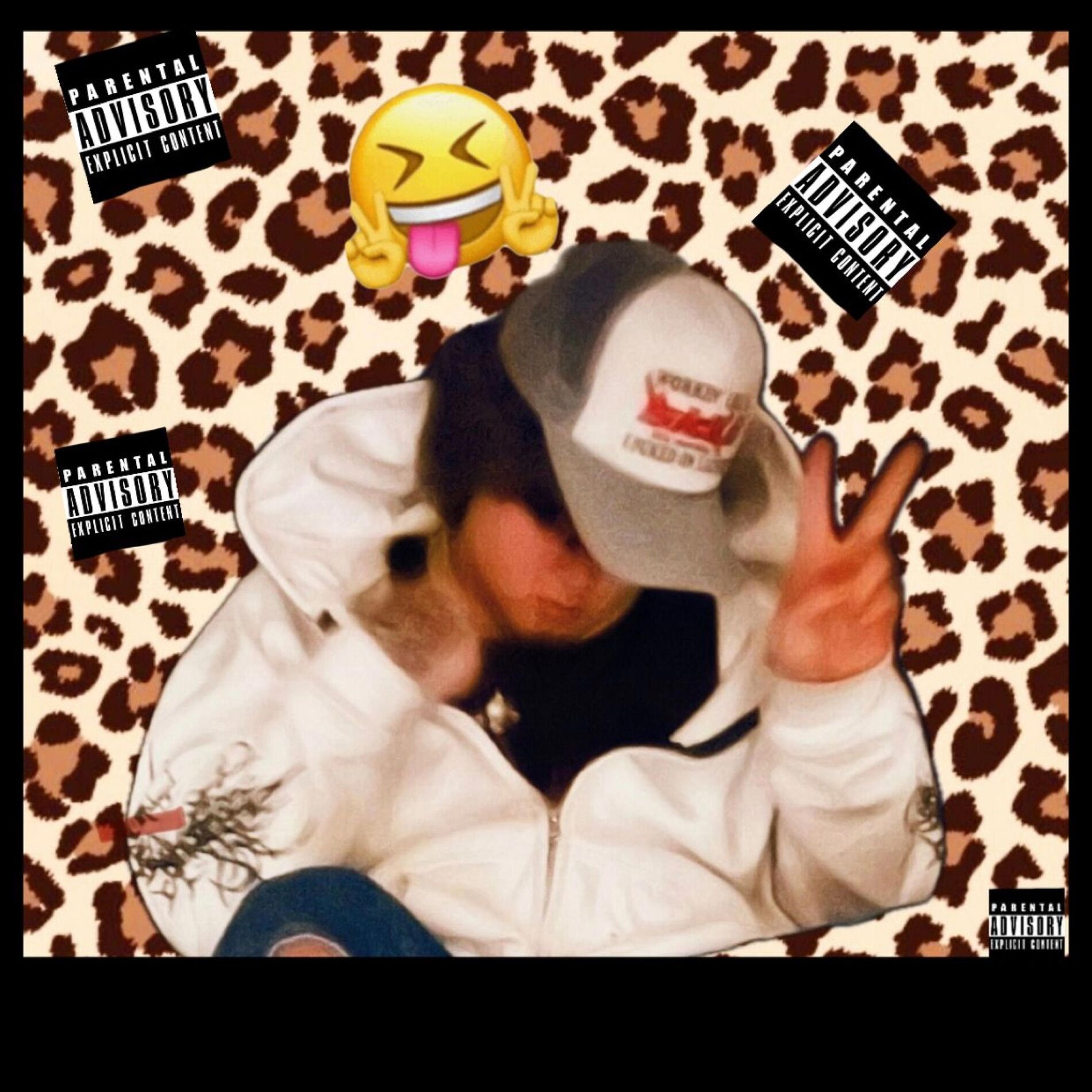 Album cover of DORK