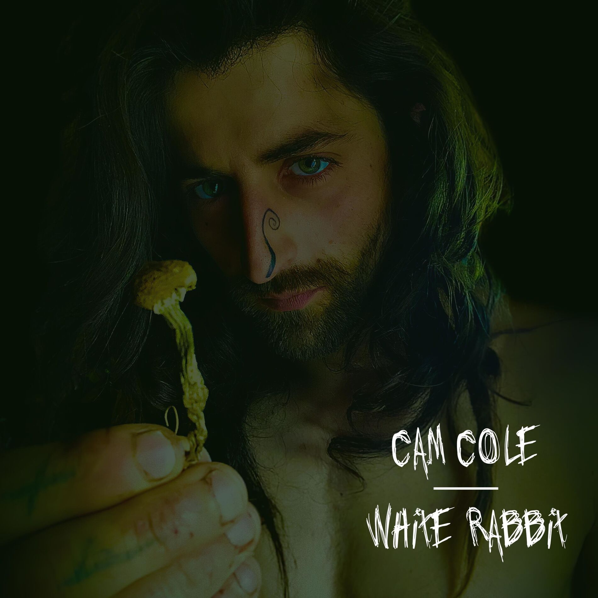Album cover of White Rabbit