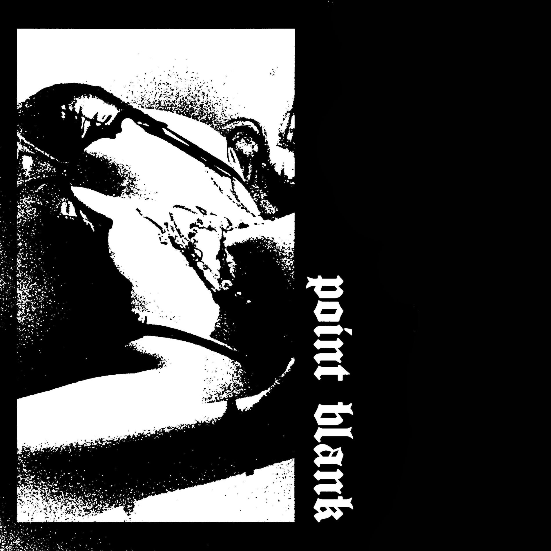 Album cover of point blank