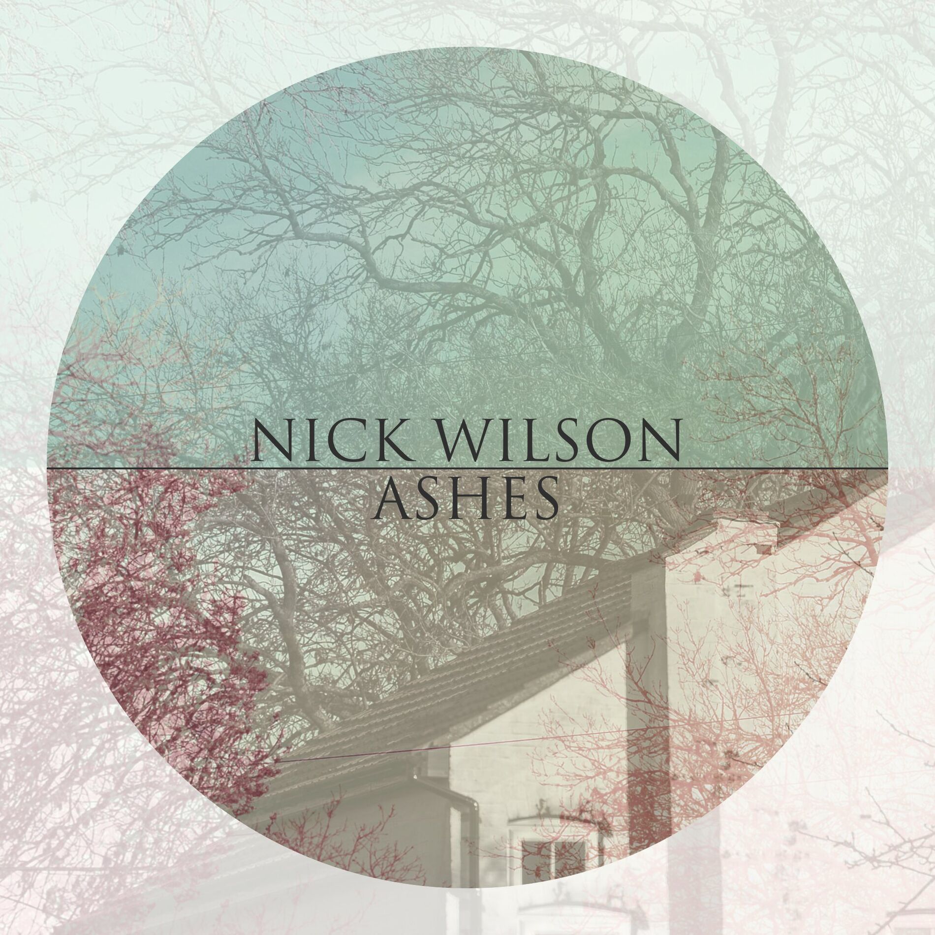 Album cover of Ashes