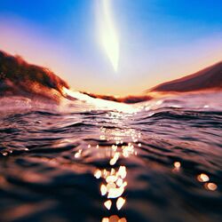 Cover of Tides