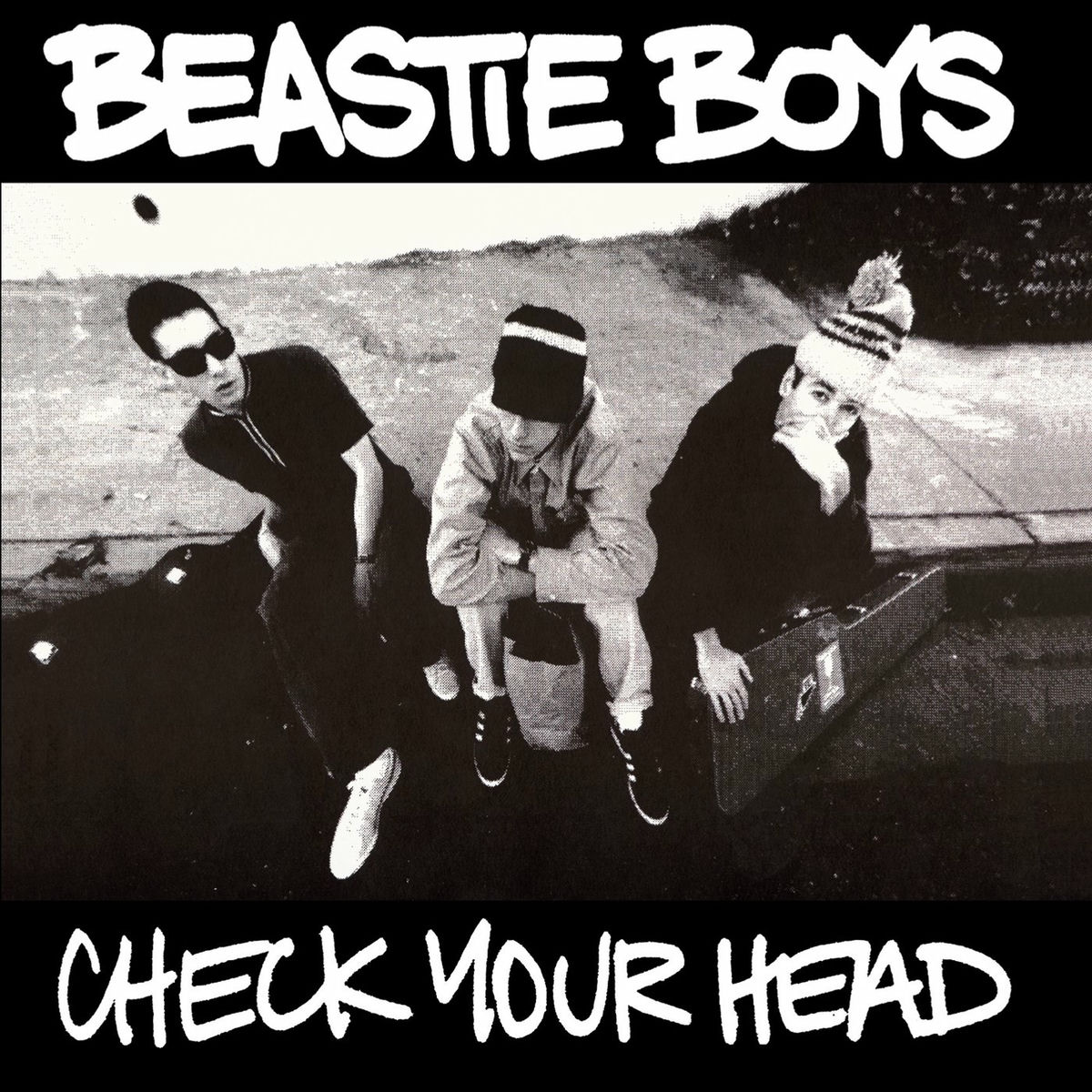 Album picture of Check Your Head (Deluxe Edition/Remastered/2009)