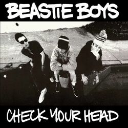 Cover of Check Your Head (Deluxe Edition/Remastered/2009)