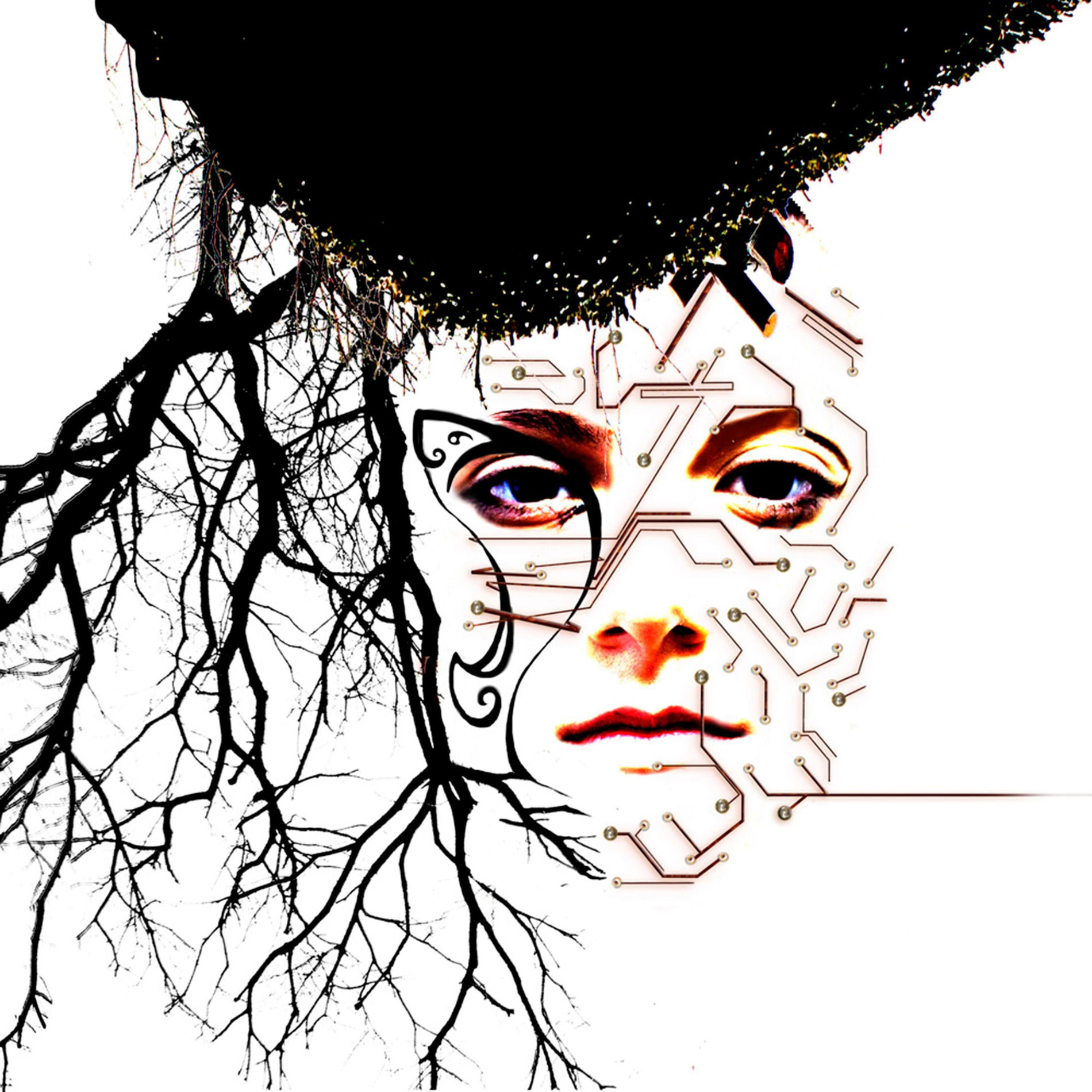 Album cover of The Price of Freedom