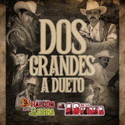 Cover of Dos Grandes A Dueto
