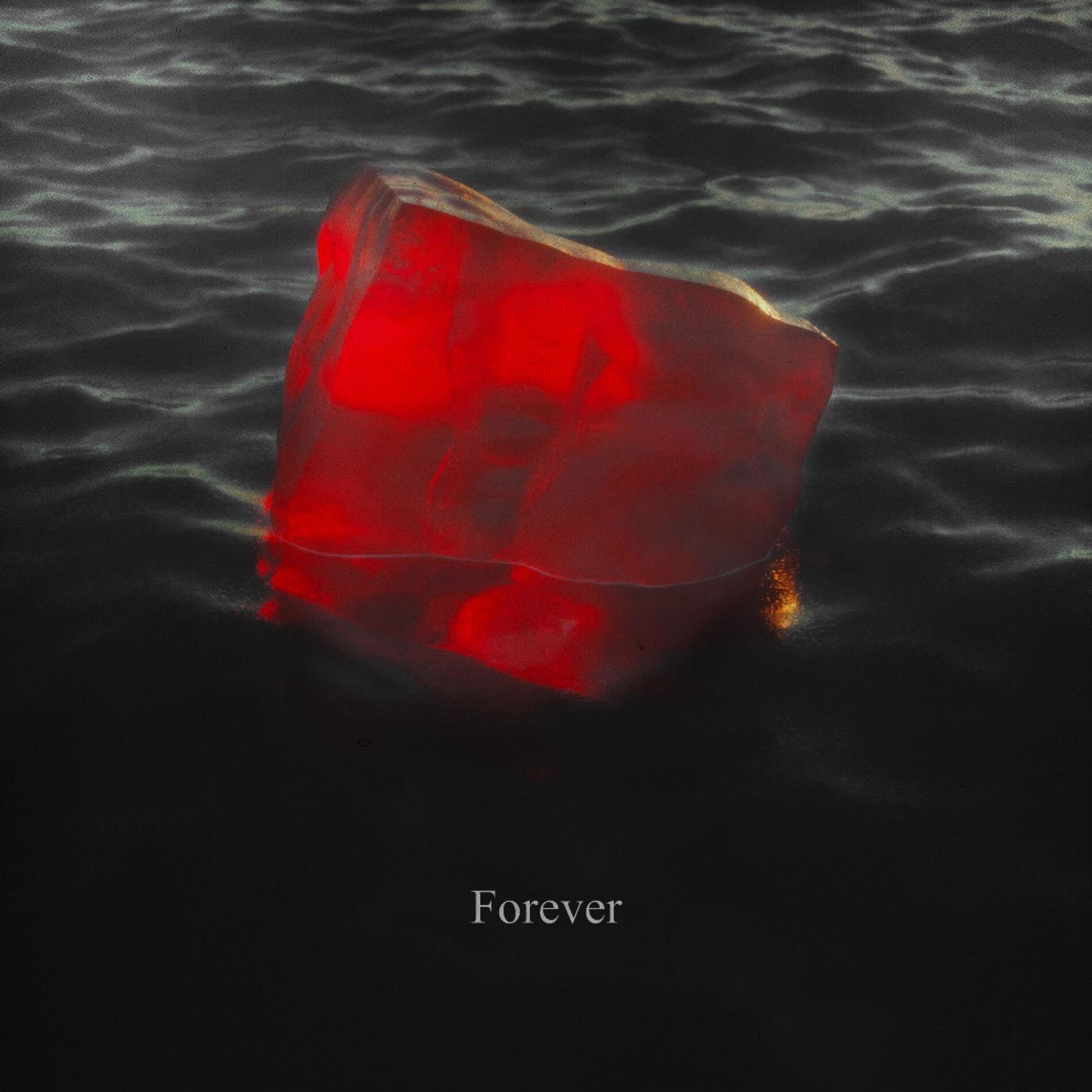 Album cover of Forever