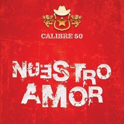Cover of Nuestro Amor