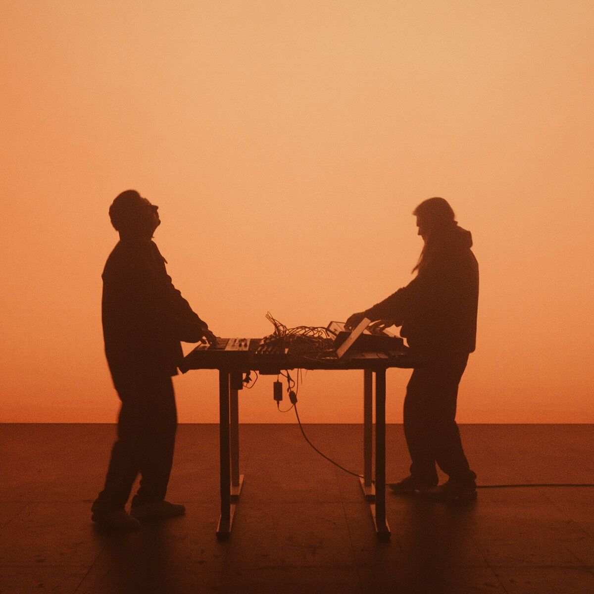 Album cover of Celeste