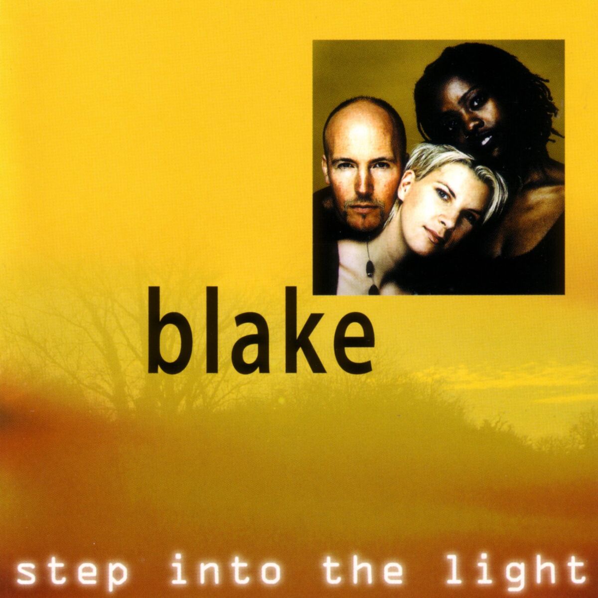 Album cover of Step Into The Light