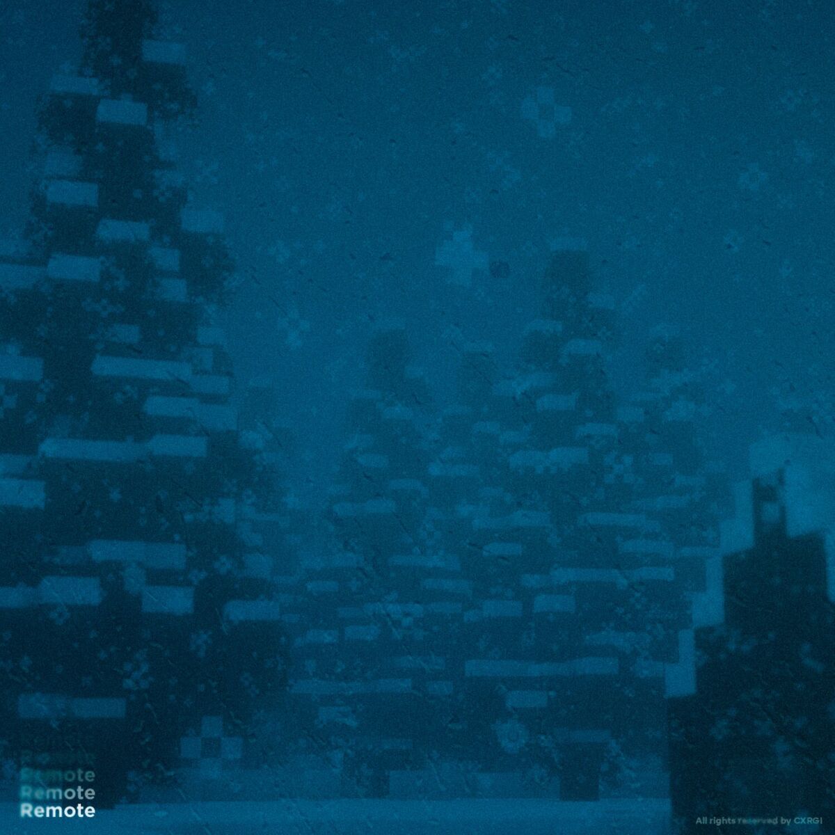 Album cover of remote