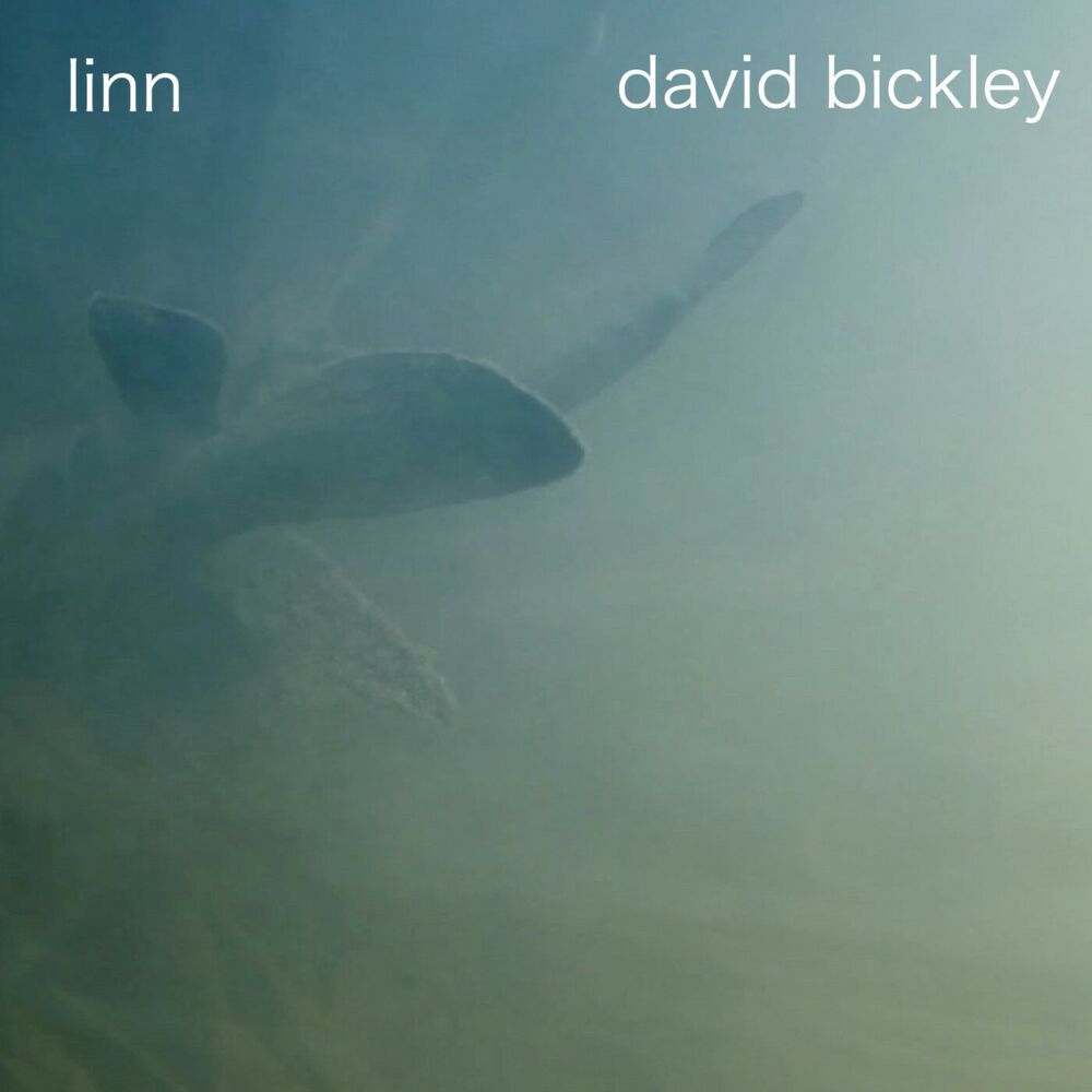 Picture of Linn