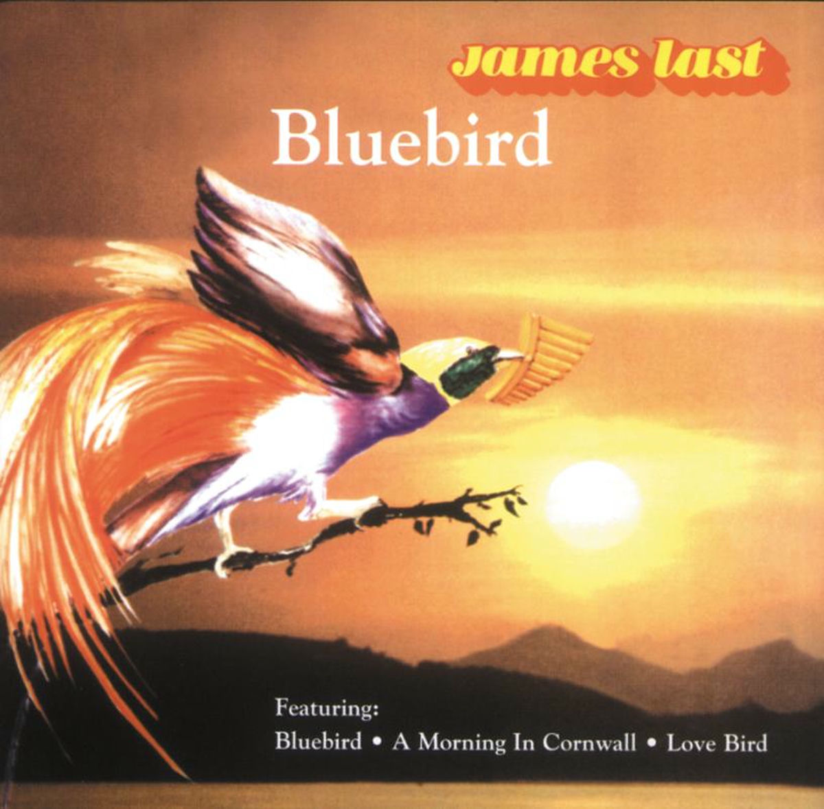 Album cover of A Morning At Cornwall