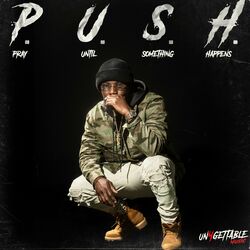 Cover of PUSH