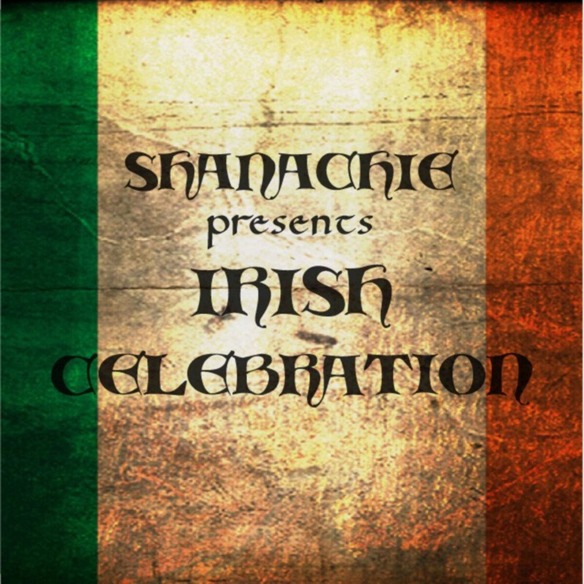 Album cover of Shanachie Presents Irish Celebration