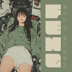 Cover of Stay Sober