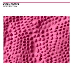 Cover of Introspection