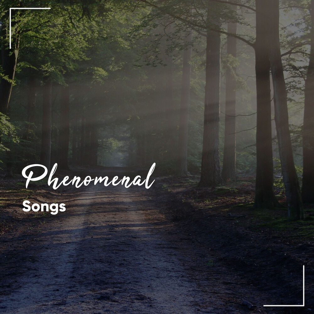 Picture of #21 Phenomenal Songs for Relaxation & Mindfulness