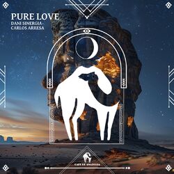 Cover of Pure Love