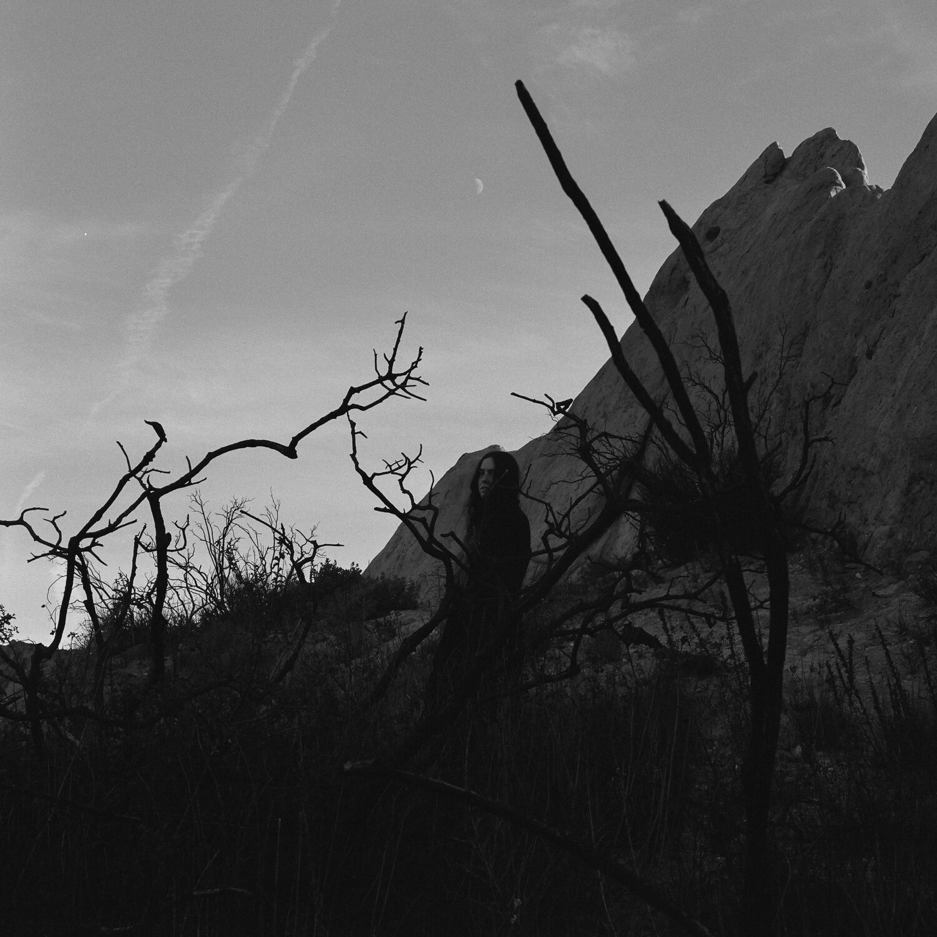 Album cover of Orpheus Looking Back