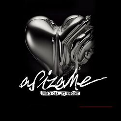Cover of Asizame