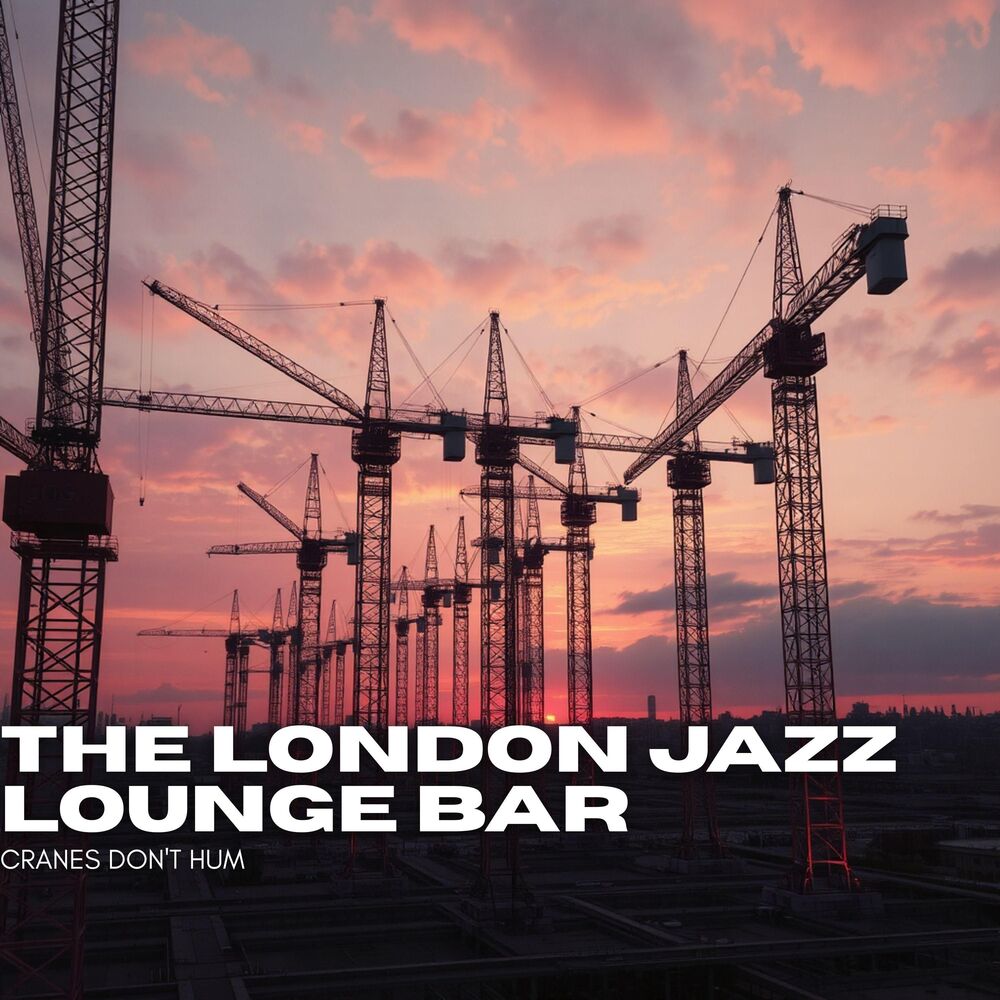 Picture of Cranes Don't Hum