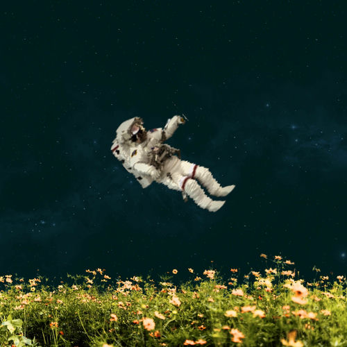 Tove – Spring Without Me