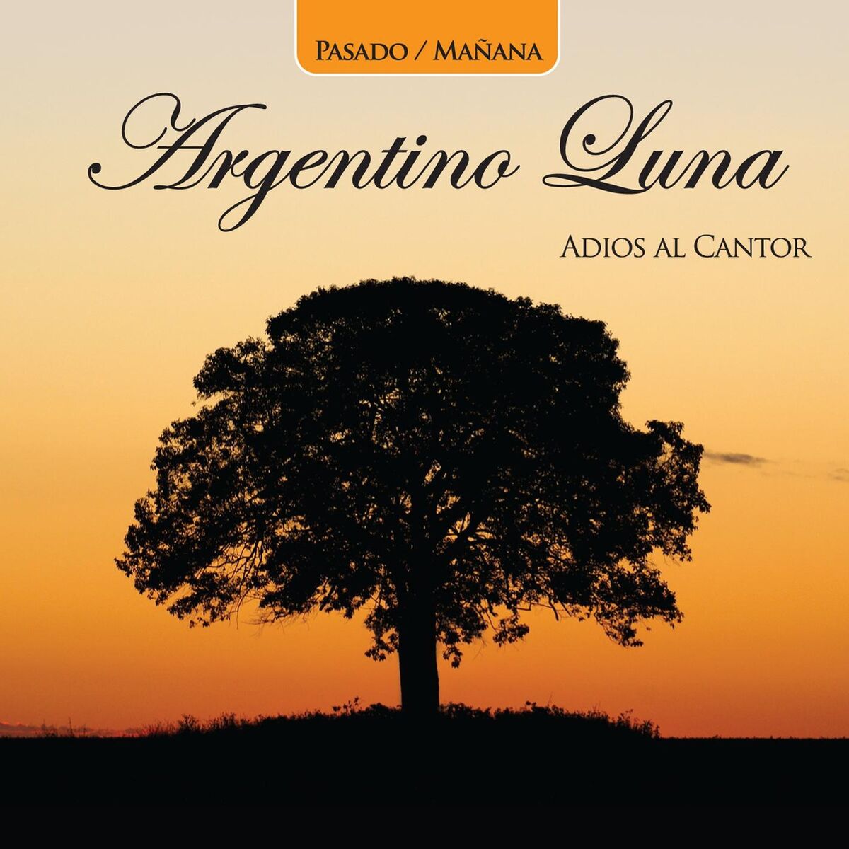 Album cover of Pasado/Mañana
