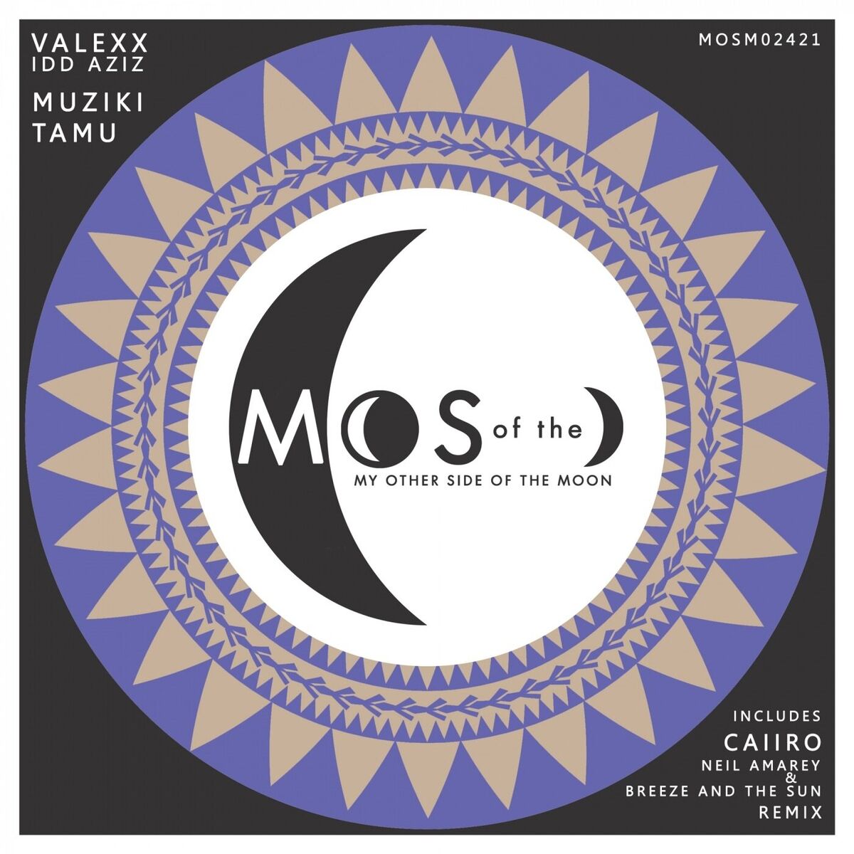 Album cover of Muziki Tamu