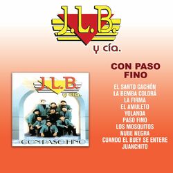 Cover of Con Paso Fino
